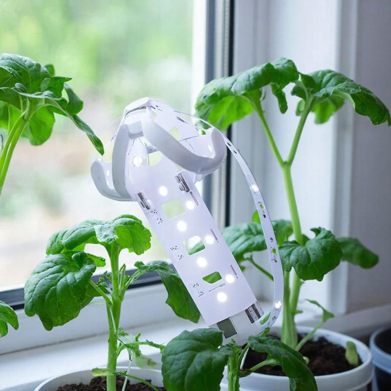 ��� ������������ ����� ������ ������ � ����������� �������