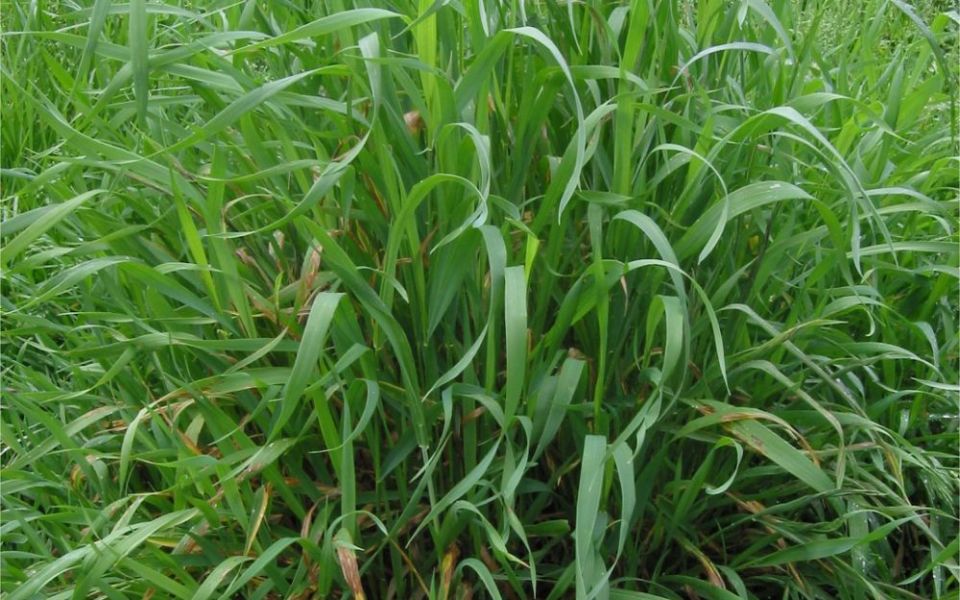 ������� ������ � ������: ��� ���� � ������ �������