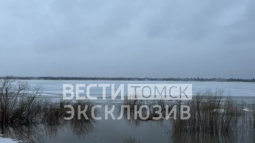 � ������ ��������� ������������ ������