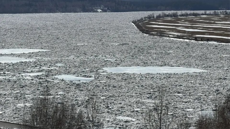 � ������� ������� ���� ������ �����������