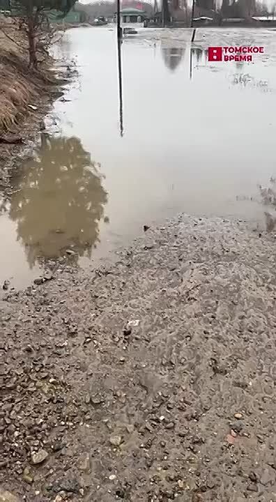 ���� ������������ ������ ����� ������������ �����