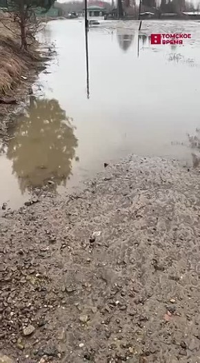 ���� ������������ ������ ����� ������������ �����