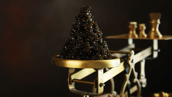 ����� ������ ����: �� �������� ���� �� ������� �������