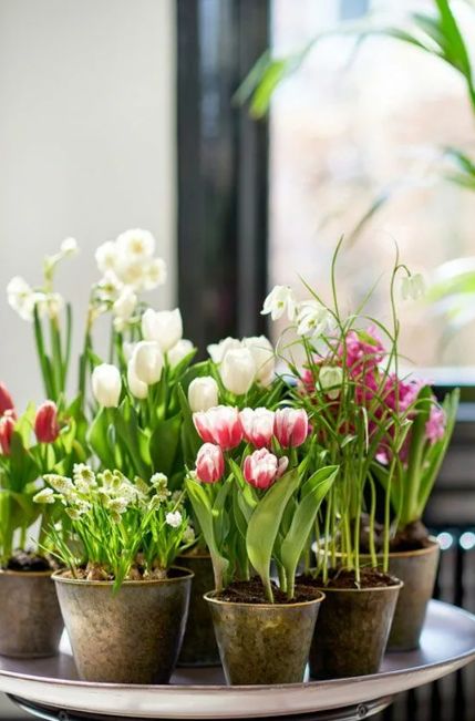 ��������� ������� ���������: ��� �������� ������������ �������� � 8 �����