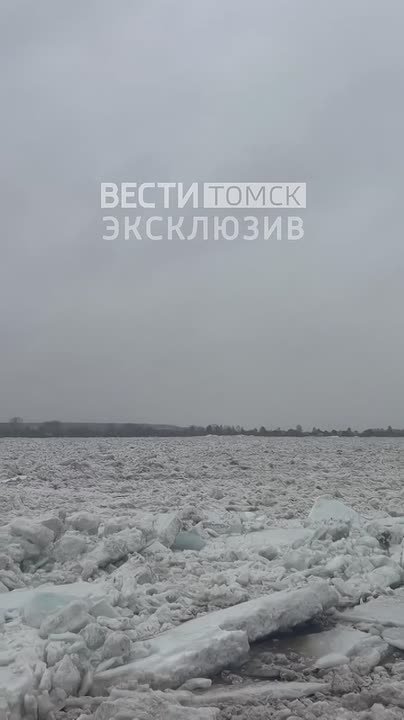А Томь плывет: где посмотреть прямую трансляцию ледохода в Томске