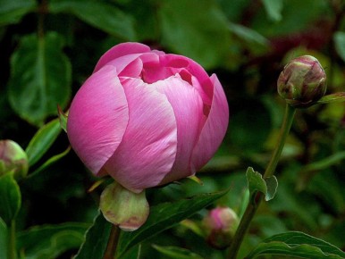 ������� � �����: ����������� ������ � ����