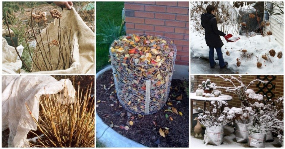 ��� ��������� ������ �������� �� ����: ������������ ����������� ��� ���������