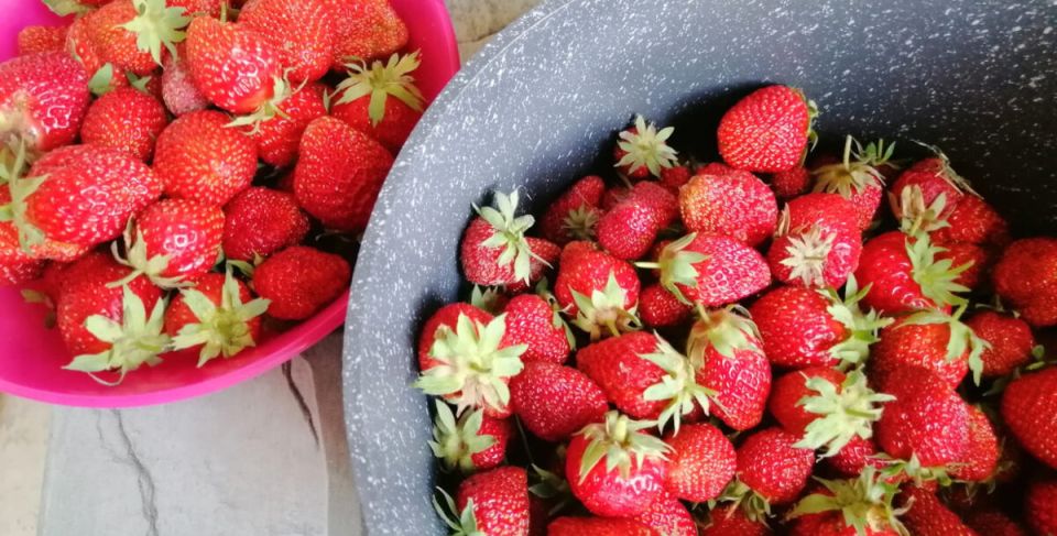 ��� ����������� ��������� �� ���������: ������ �������� �������