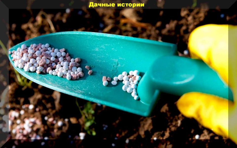 ������ ������� ���������: ��� �� ��������� ������ �������� ����