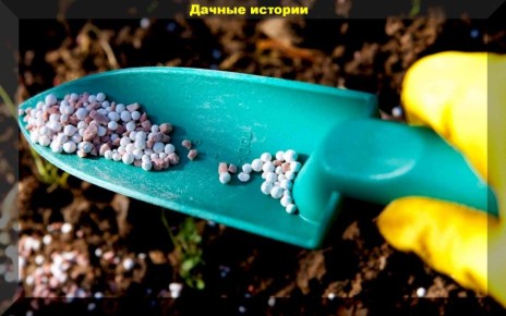 Ошибки осенней подкормки: как не испортить урожай будущего года
