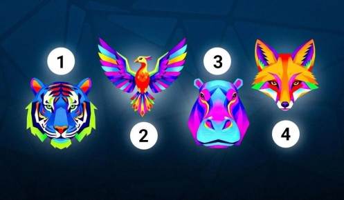 ��� ���� �������� �������� �������� ����: ������� ���� �����