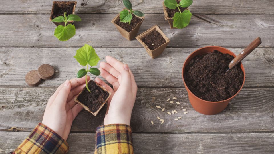 ����� �������� ��������� ��������� �������: ��� ������� ������