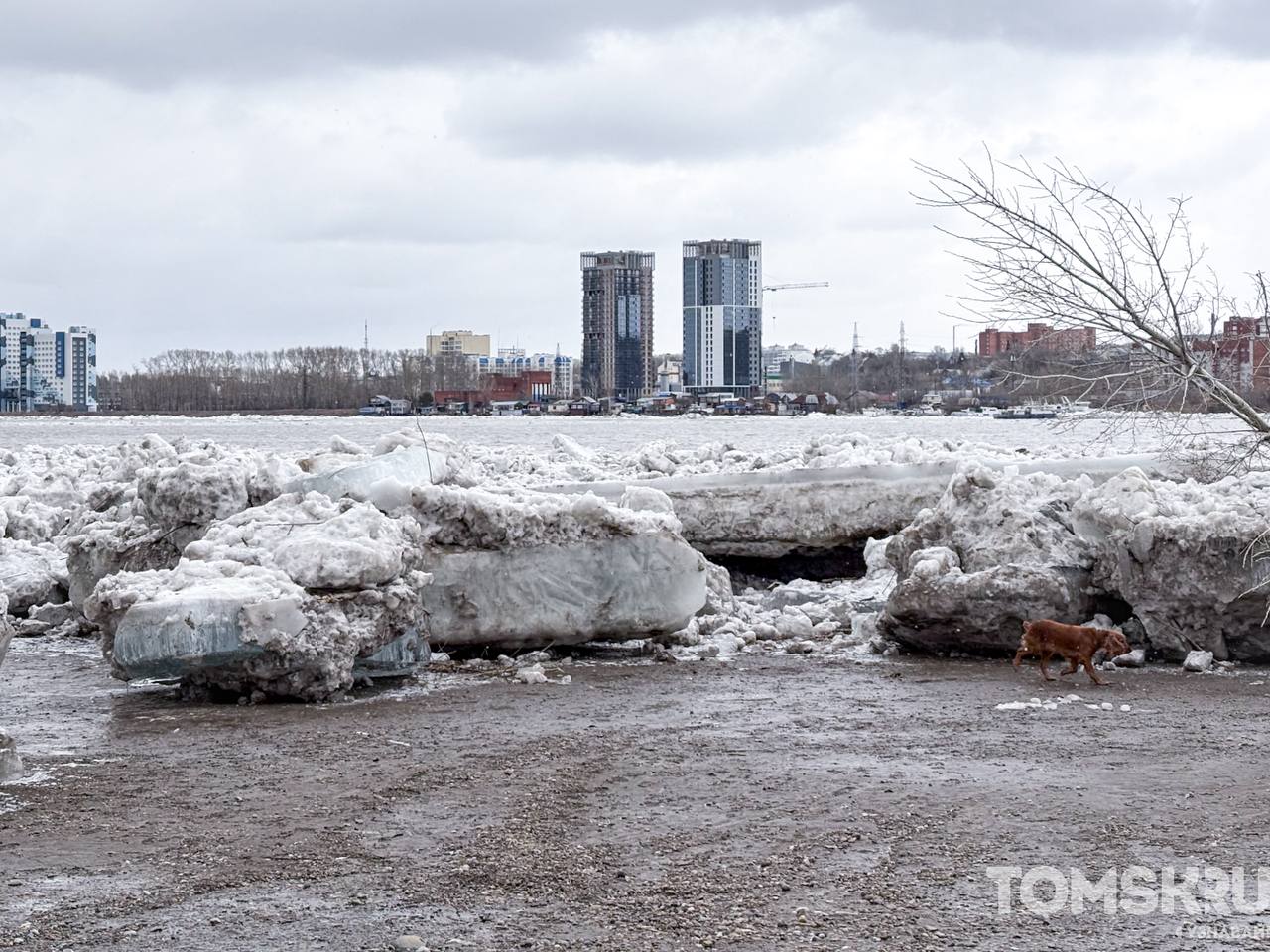 Под Коммунальным мостом снова вода Под Коммунальным мостом снова вода