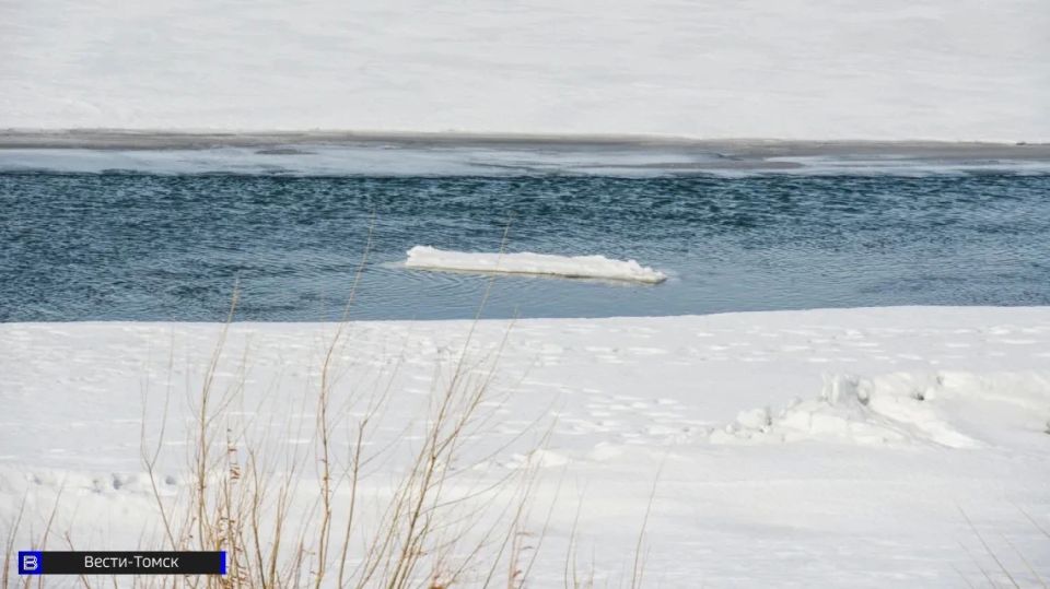 "���� �� ����� ������": ��� ������ ������ � ������� � �������� �����