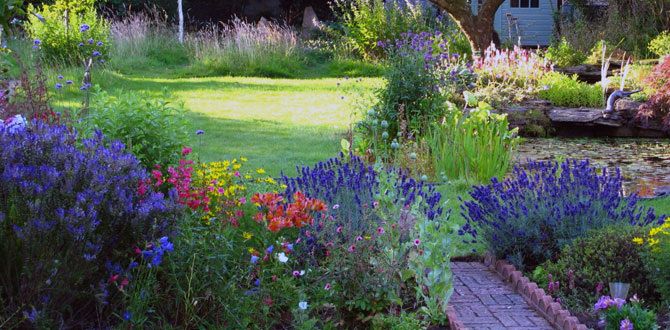 10 ������ ���� ��� ����������� � ����������� ������� ������ ����