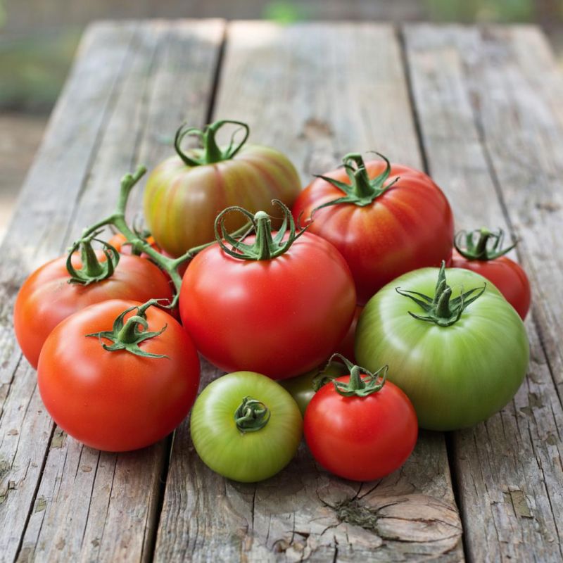 ������� ������� �� ������: �����, ������� ���������� ���� ������������� � ��������