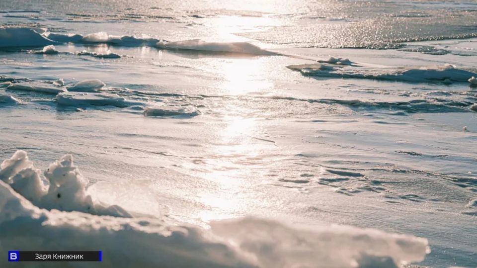 ���� �����: ��� ����� � ������� � ������ � ����������������� �������