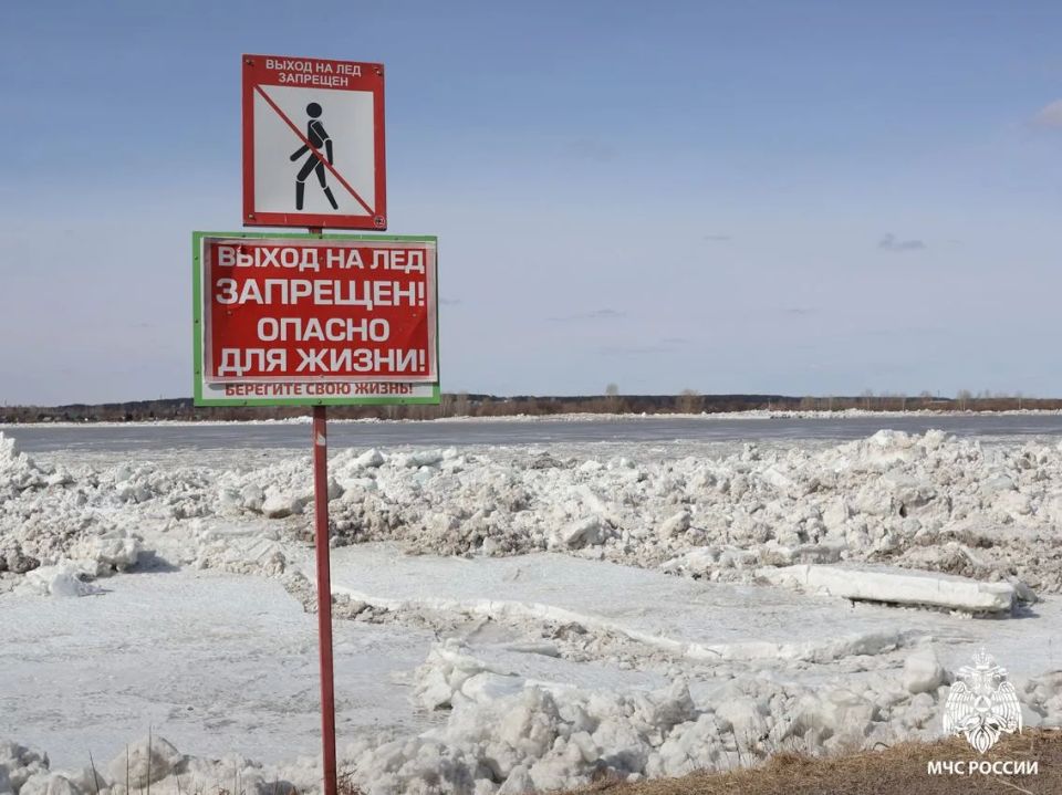 ��������! ��� ������ �������������: ������ ��������� �� ����!