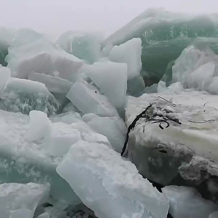 ���� ��������� ���:. ������� �� ���� ���� ������ ���������� � ������