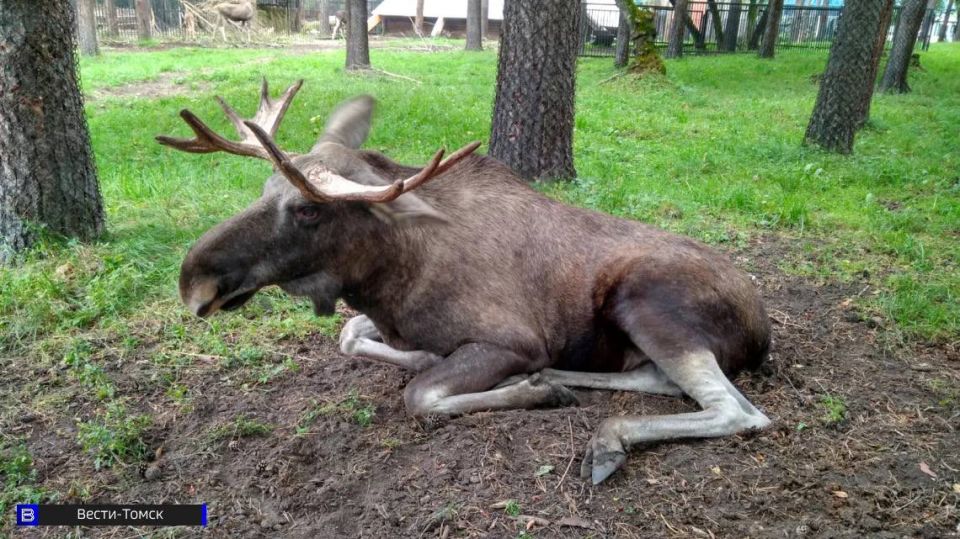 ������� ���� ���� ���������� ������� � ��������� �����