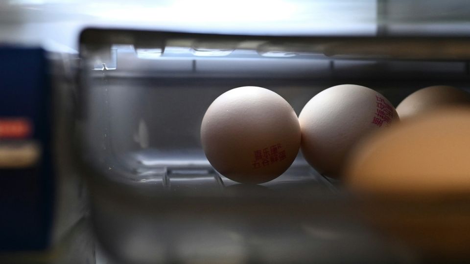 ������ ���� �� ����� ������� �� ������ ������������: ������ ������ ���������