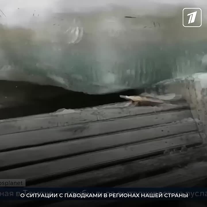 В Алтайском крае спасатели и местные жители начали возводить временные дамбы на берегу Оби