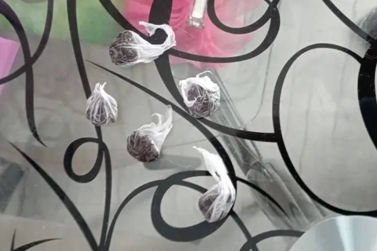 � ���� ����������-��������� ����������� ������������ ���������� �� �������� �� �������� ���������� ���� �� ������� ������� �������� ����� ������� ������ �������� 1979 ���� ��������