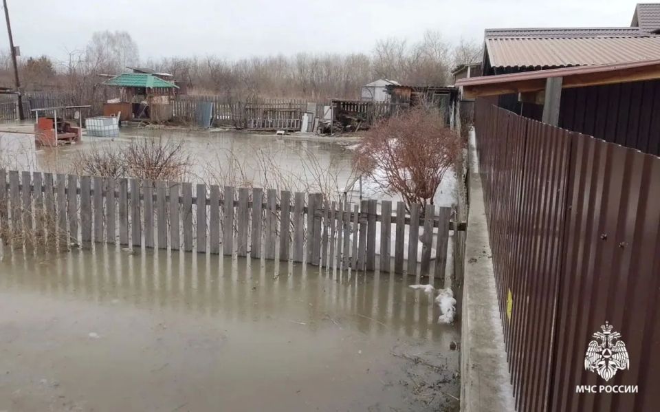 ���������� ������������ ������������ �������� � ������� ������ ����� ������� ������� ��������� � 222 �� 17. ���� ��������� ���� � ���������� ����� �����, �������� � �� ��� �� �������