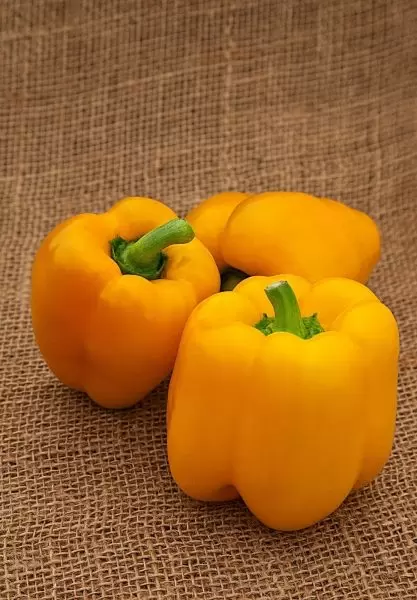 Желтый колокол: идеальный сорт сладкого перца для вашего огорода