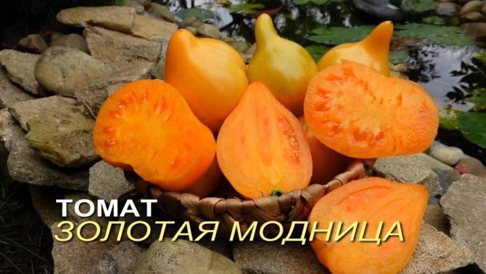 ����� �����, ������� ������ ������������� � �����: ��� ����� ����� � ������� �������