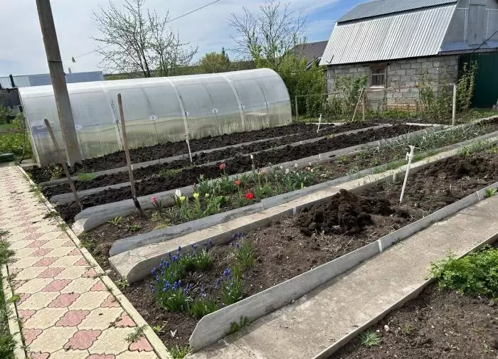 Как йод может спасти ваш дачный участок: неожиданные применения