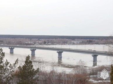 ���������� ���������� �� 15 ������