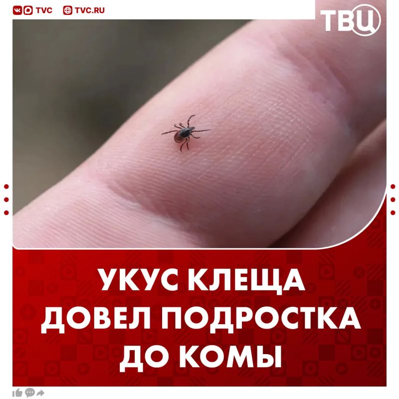 �������� ���� � ���� ����� ����� ����� � ������