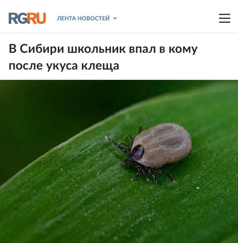 �� ������ �������� ���� � ���� ����� ����� �����: ����� � ���� ���� �������� ������