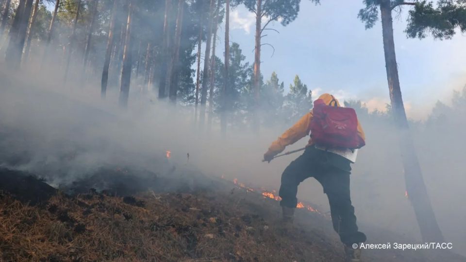 ������������� ����� �������� � 17 ������ � ������� �������, �������� ������������� �������