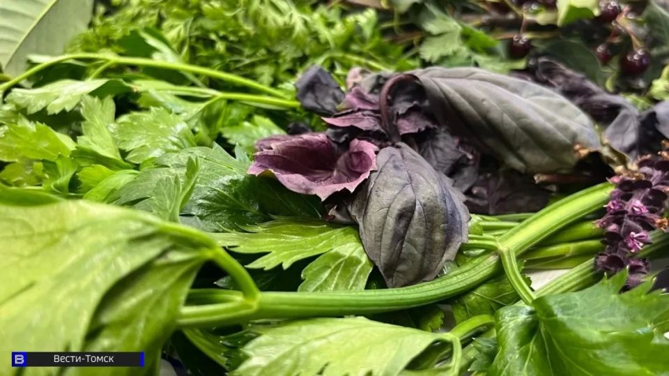 ��������, �������� � ��������: �������� ������� ��� �������