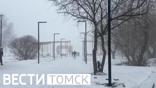 Томская весна. Telegram | ВКонтакте | МАХ