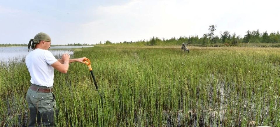 ������ ���������� �������� ���������� ����� � �������