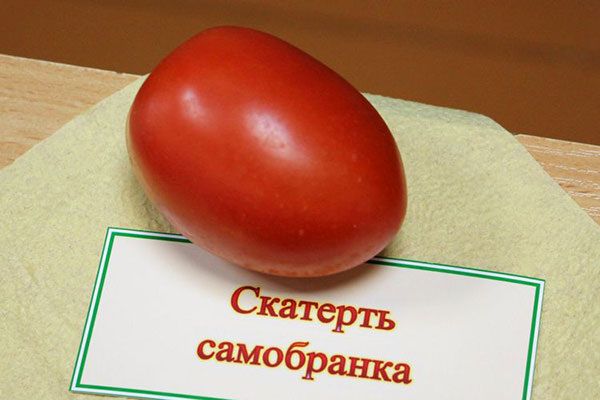 ����� ��������-����������: ������� ������ � ������������ ����� ���������