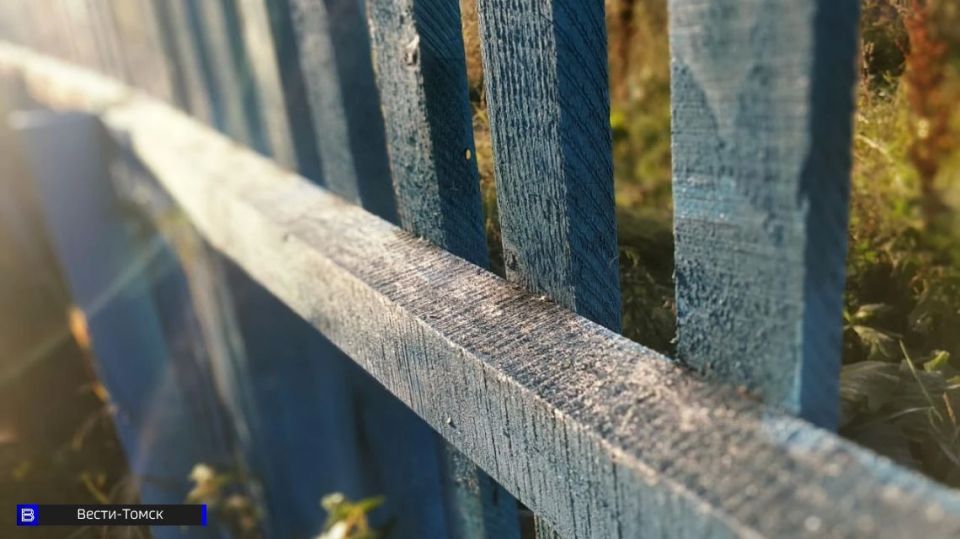 ��� �������� �������: ������� ����� ������ ��������� � ������