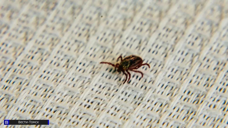 � ������ ��������� � ���� ��������� ������: ������ ���������������� ��������� 24 ������