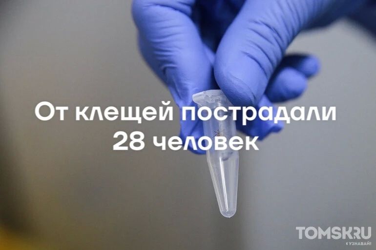 �� ������ �� ������ ���������� 28 �������