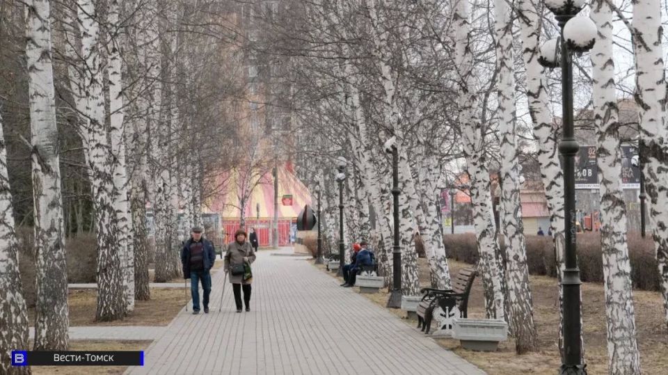 �������� ������� 17 ������ 2026 ����: ��������, ������� � �������