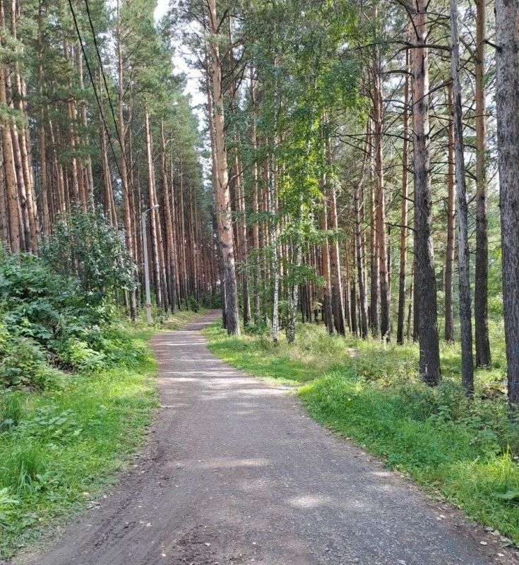 ������� ��������� ��� ���������� � ������������ ����������� ������� � �������������� ������������ ������ ����� ���������� ��������� ����������