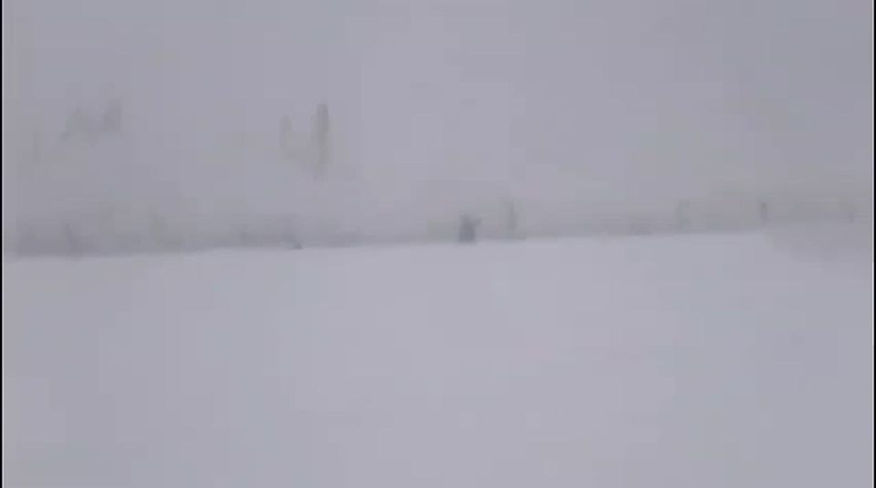 �������� �����: ������� ������� �������� ��������� ������������ ������, ��������� ������, ������� ���������� ����� � ������ ������� ������