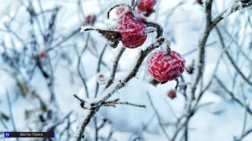 �������� ���� � �������� ����: ������� ������ � ������ �� 17 ������