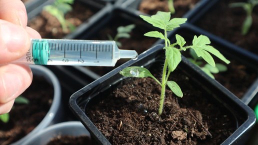 ��� ��������� �������� �������: ������� ��������� �����������