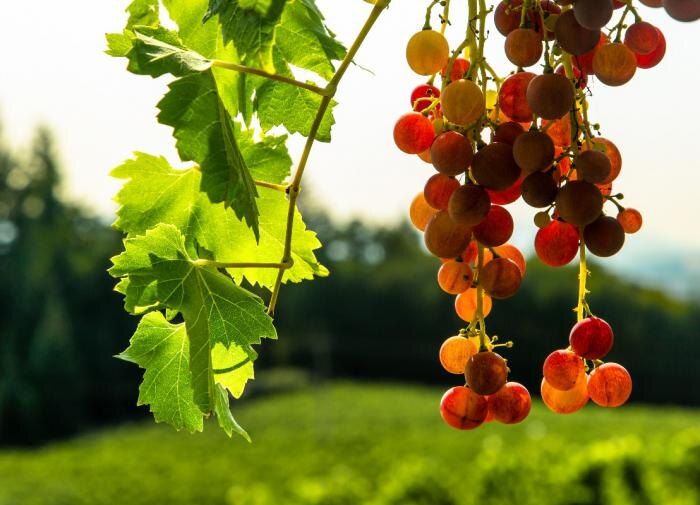 ��� ������ �������� �� �����: ������� � ������ ��� ���������