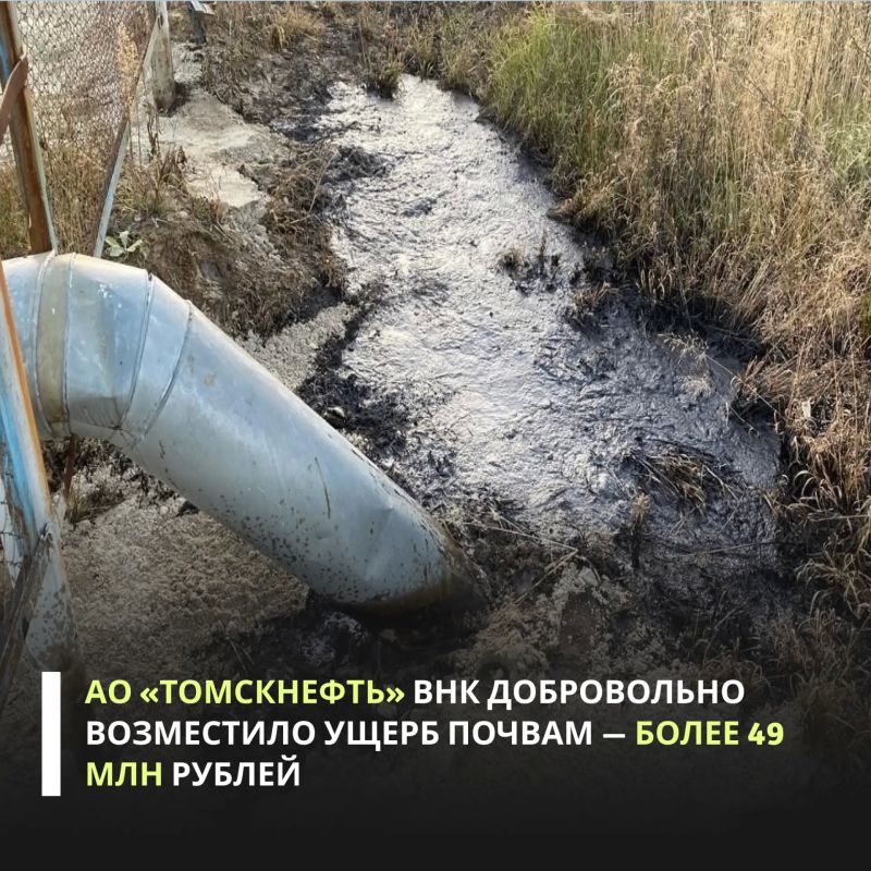 ��������� ������� ���������� ���������� ���������������� ���������� � ������� 2024 ���� �� ����� ����������� ��������, ����������� �� ���������� ����������� ������� �������