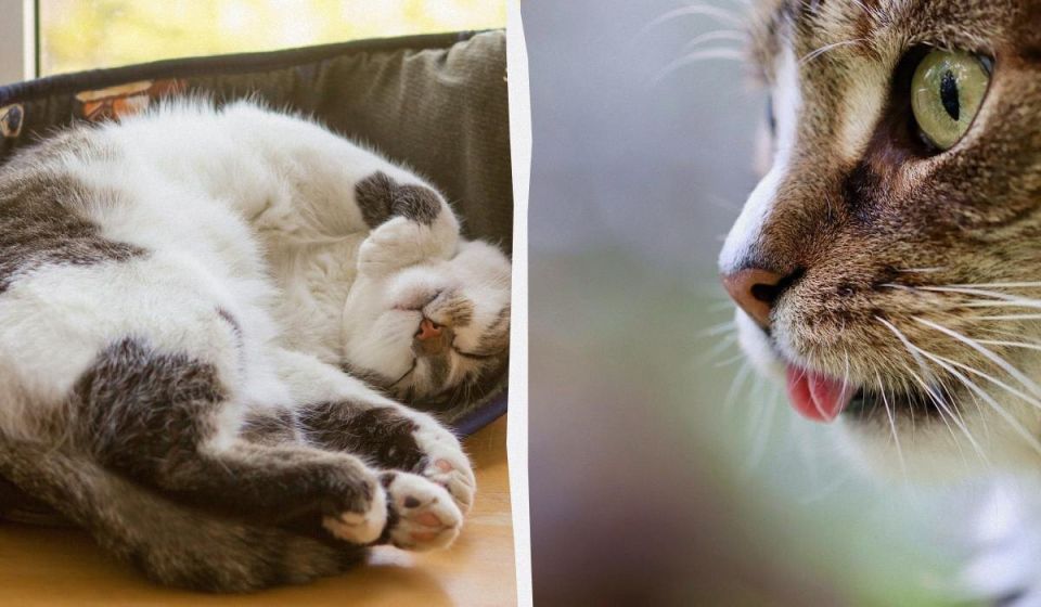 ������ ����� ������ �� ����: 4 ���������� ������� �� ���������